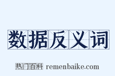 数据反义词是什么意思的图片